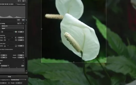 LightRoom 4 volte più popolare di Aperture