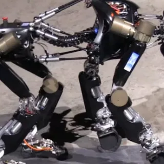 iStruct, la scimmia robot dell'Università di Brema