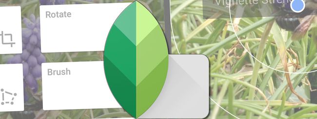 snapseed for pc google