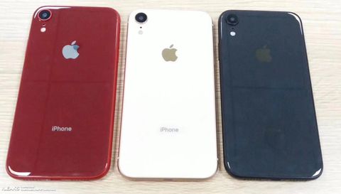 iPhone XR: disponibile in 5 colori diversi tra cui rosso e coral