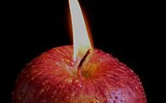 ... e buon compleanno a Melablog! Una Mela al giorno, per un anno intero