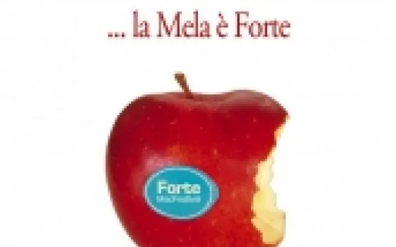 All About Apple a Forte dei Marmi