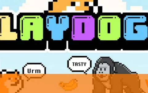 La prevendita di PlayDoge raccoglie oltre $ 3,5 milioni: sarà la prossima meme coin ad esplodere?