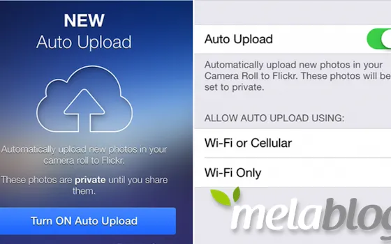 Flickr per iOS 7, un update fa le scarpe a Apple Photo Stream