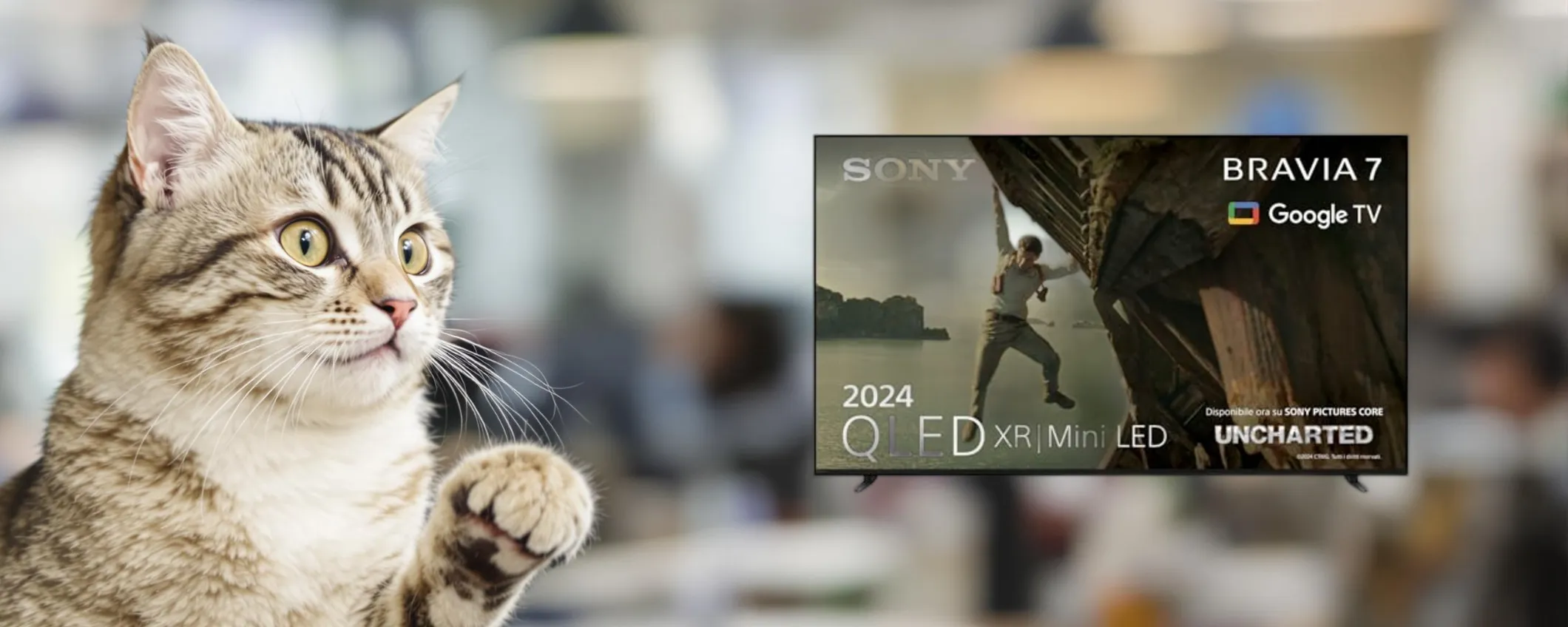 Sony BRAVIA 7 QLED 65