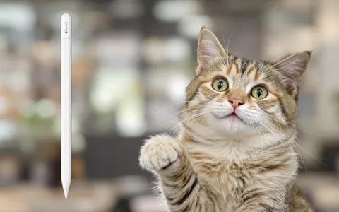 Utilizza al meglio il tuo iPad con l'Apple Pencil USB-C a mini prezzo su Amazon