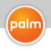 Doppio store online per Palm