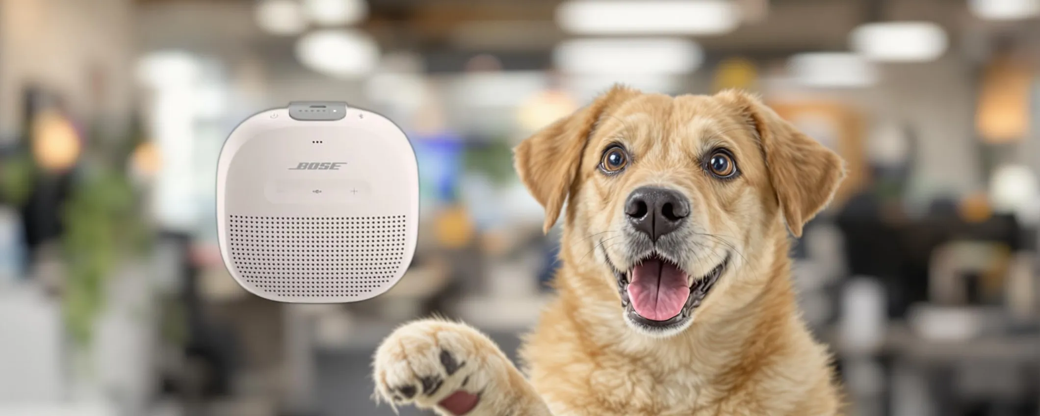 Diffusore Bose SoundLink Micro: qualità audio e massima portabilità in offerta top