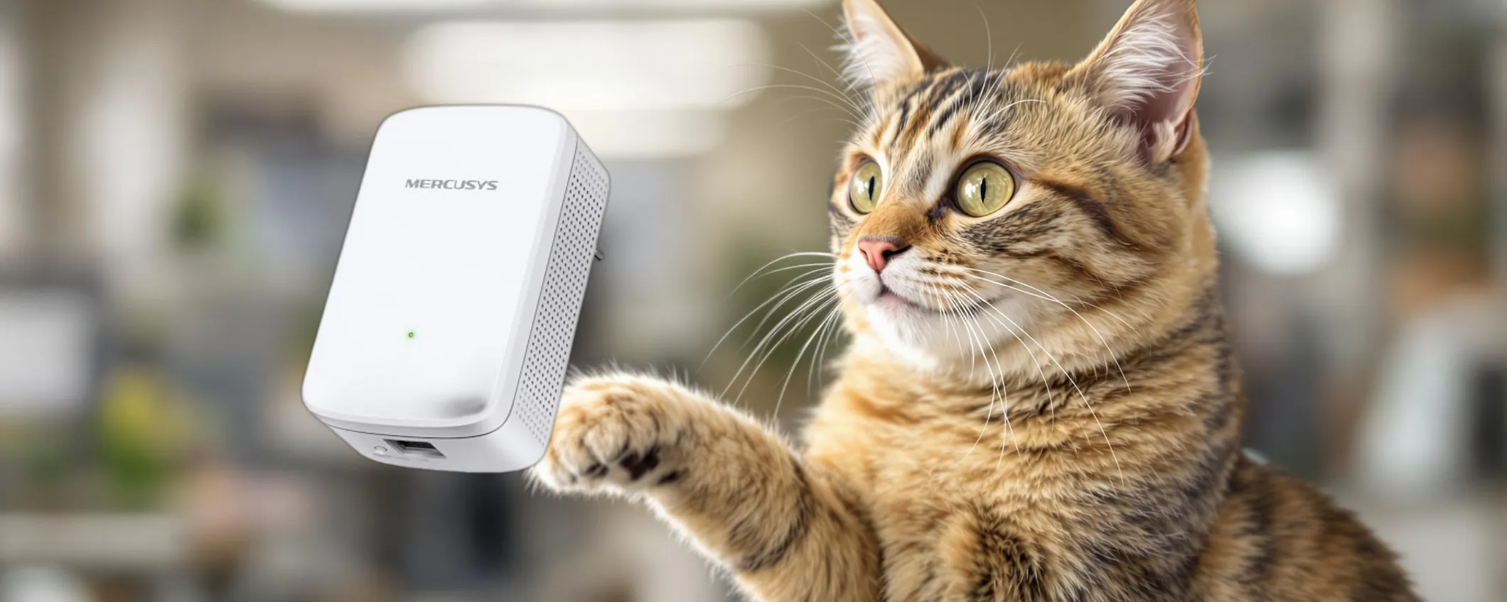 Migliora la tua connessione Wi-Fi con meno di 9 euro: scopri l'offerta