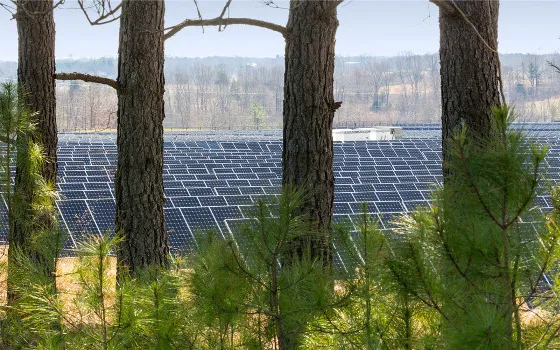 Zaffiro sintetico prodotto all'energia solare: la sfida di Apple per le energie rinnovabili