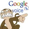 Apple scaccia Google Voice dall'App Store
