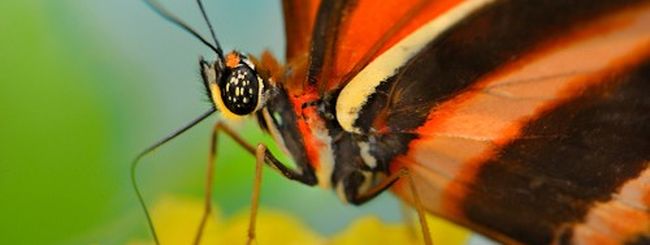 Nikon D800: nuove fotografie di prova dai professionisti