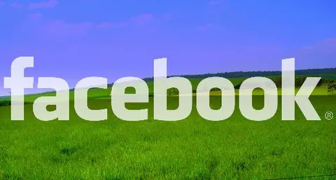 Facebook e Greenpeace, per un futuro più verde