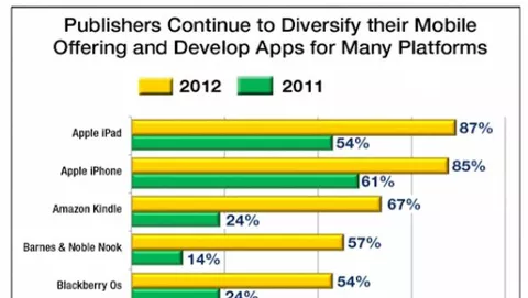 L'87% degli editori USA ha lanciato almeno un'app per iPad