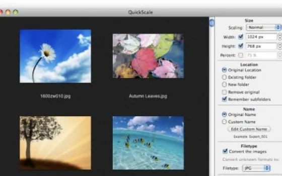 Quickscale: gestire dimensioni e formati delle immagini