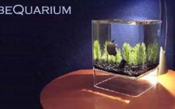 Acquario in salsa Apple Cube