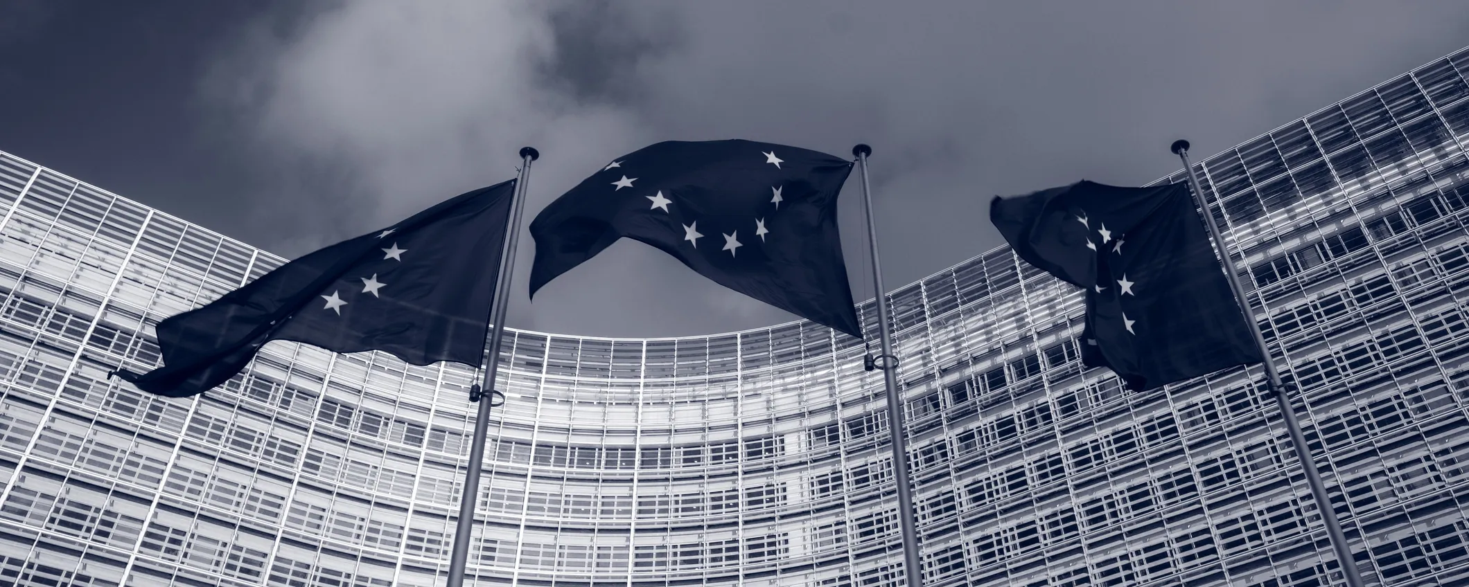 Antitrust Paesi Bassi, UE: 