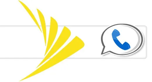 Lo Sprint di Google Voice