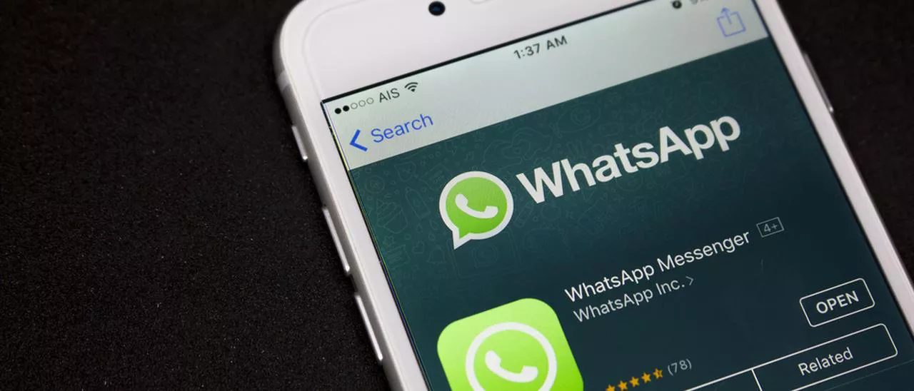 WhatsApp per iOS, filtri e album per foto e video