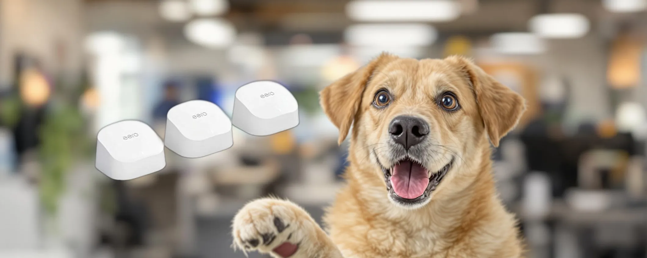 Amazon eero 6: connessione stabile e ampia copertura in offerta