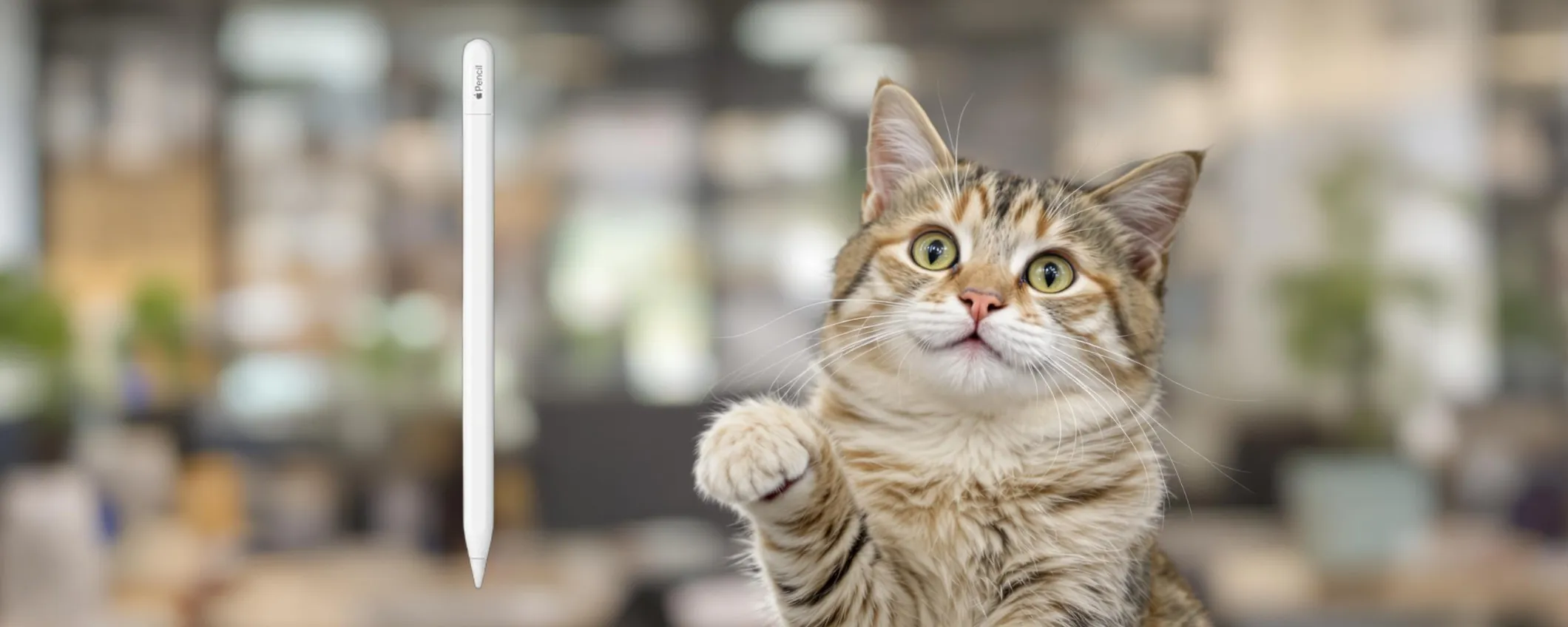 Utilizza al meglio il tuo iPad con l'Apple Pencil USB-C a mini prezzo su Amazon
