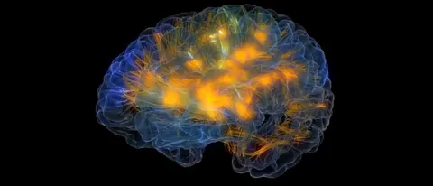 Glass Brain, lettura della mente con Oculus Rift