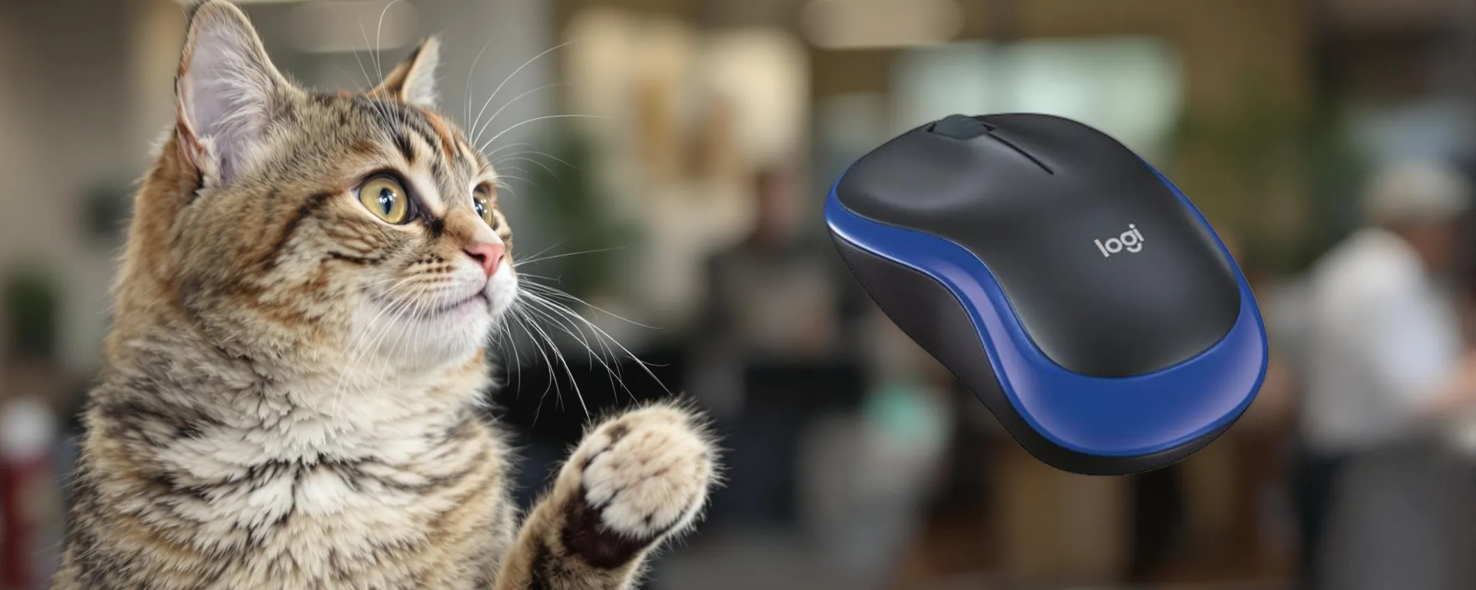 Mouse Logitech in svendita folle: portalo a casa spendendo solo 12€