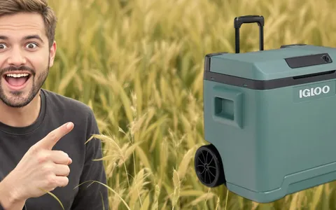 Mantieni tutto al fresco con il Frigorifero portatile da 42 LITRI scontatissimo al -36%