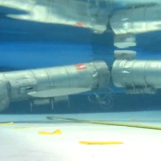 RoboCarp, il pesce robot