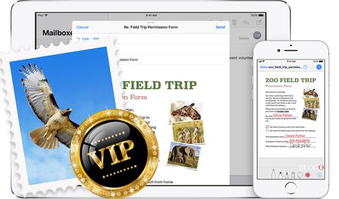 Mail VIP iPhone e Mac: cos'è e come si configura