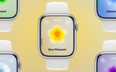 watchOS 10, come e perché è importante tracciare l'umore