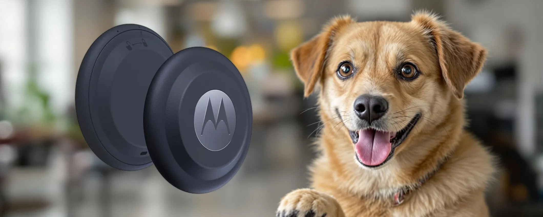 MOTOROLA SMART TAG a soli 19,90€: RISPARMIO ASSOLUTO, precisione garantita!