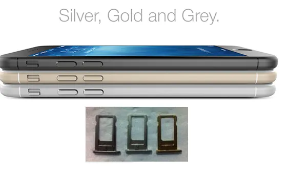 iPhone 6 i vassoi delle SIM confermano i colori