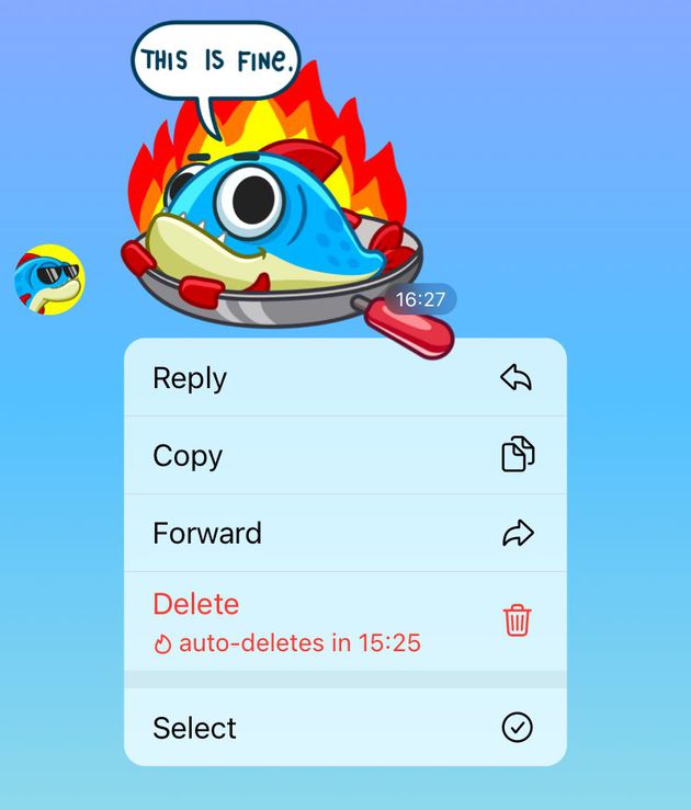 telegram chat autodistruzione