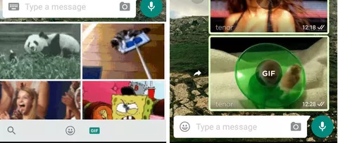 WhatsApp: motore di ricerca Giphy in Android