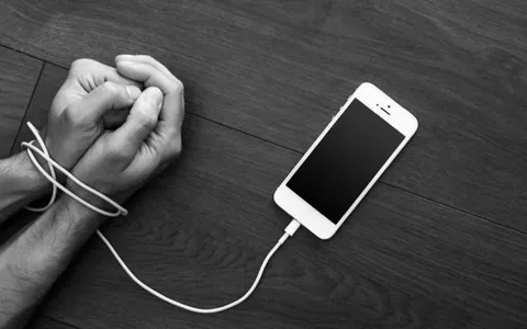 Il padre dell'iPod: 