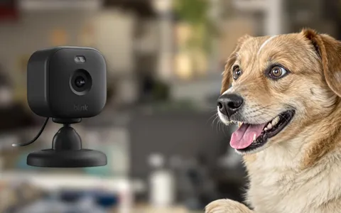Blink Mini 2: qualità e praticità in offerta a un prezzo accessibile