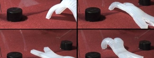Ricercatori di Harvard realizzano un calamaro robot