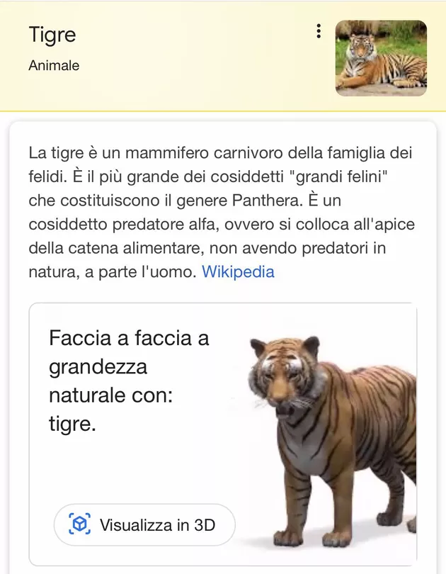 Google Animali 3D - Tigre