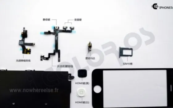 iPhone 5: nuove foto dei componenti interni