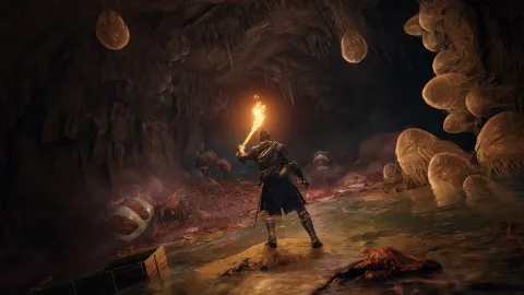 Elden Ring e il fenomeno dei soulslike