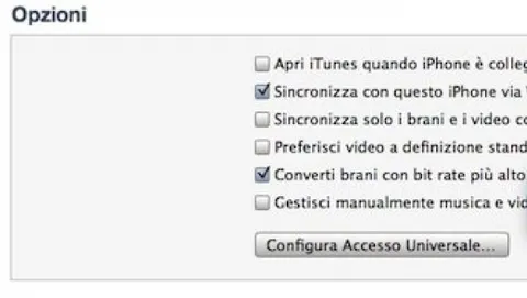 Maggior controllo sulla conversione automatica in iTunes 10.6