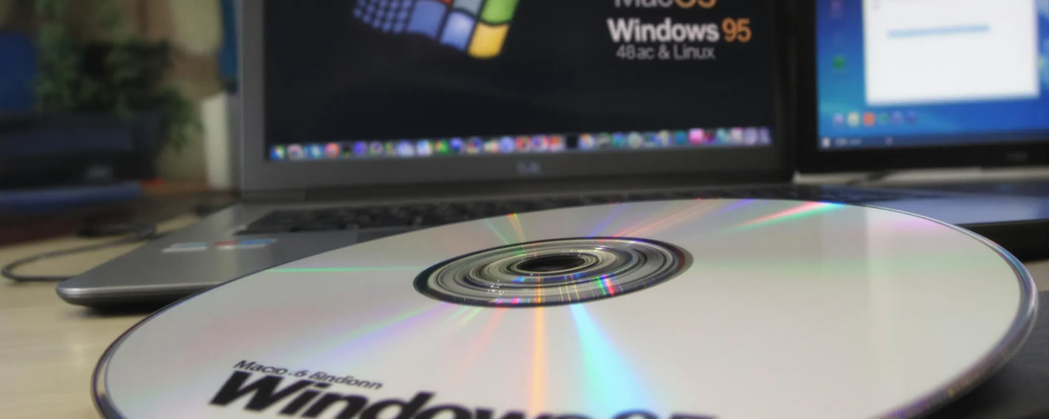 Windows 95 rivive come app standalone per Windows, macOS e Linux