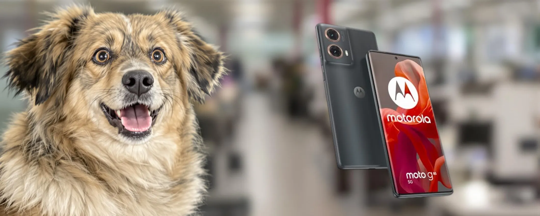 MOTO G85 5G a soli 193€: SUPER SVUOTATUTTO Amazon, lo sconto è del -45%!