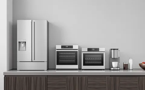 Bonus Elettrodomestici 2025: cosa è possibile comprare