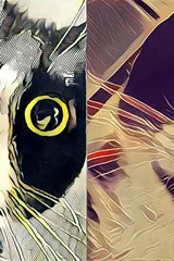 Prisma: in arrivo anche i filtri per i video