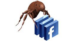 Attenti a quella email di Facebook: è un virus