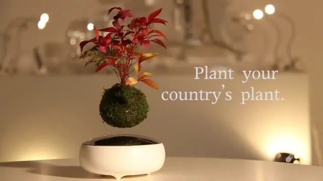 Air Bonsai: la campagna su Kickstarter