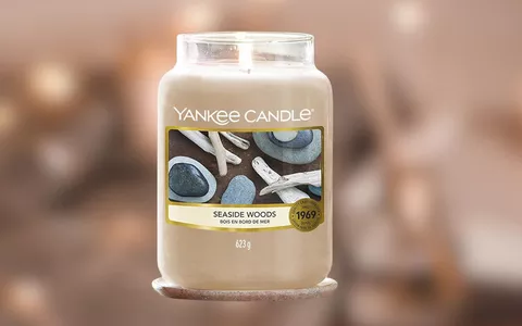 Yankee Candle: candela in giara grande al LEGNO MARINO in offerta lampo