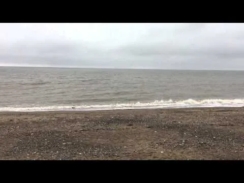 Apple IPhone 6 60 fps Beach shots camera test